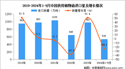 2024年1-9月中國食用植物油進口數據統(tǒng)計分析：進口量539萬噸