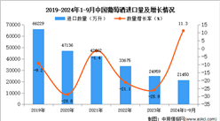 2024年1-9月中國葡萄酒進口數(shù)據(jù)統(tǒng)計分析：進口量同比增長11.3%