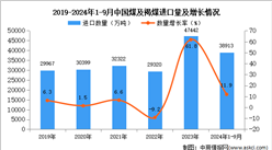 2024年1-9月中國煤及褐煤進(jìn)口數(shù)據(jù)統(tǒng)計(jì)分析：進(jìn)口量同比增長(zhǎng)11.9%