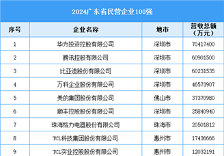 2024廣東省民營企業(yè)100強（附榜單）