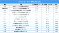 2024年11月1日全国各地最新白条猪价格行情走势分析