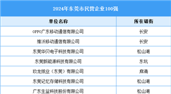 2024年东莞市民营企业100强（附名单）