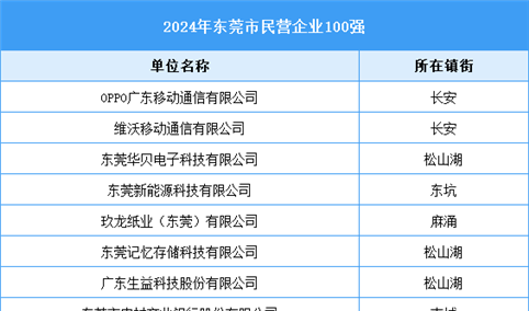 2024年东莞市民营企业100强（附名单）