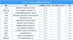 2024年11月5日全国各地最新白条猪价格行情走势分析