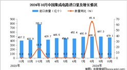 2024年10月中國集成電路進(jìn)口數(shù)據(jù)統(tǒng)計(jì)分析：進(jìn)口量479.1億個(gè)