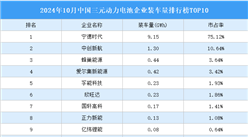 2024年10月中国三元动力电池企业装车量排行榜TOP10（附榜单）