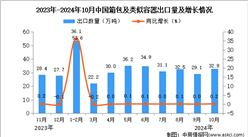 2024年10月中国箱包及类似容器出口数据统计分析：出口量32.9万吨