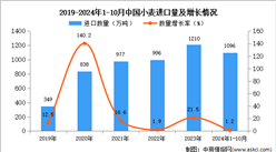 2024年1-10月中国小麦进口数据统计分析：进口量同比增长1.2%