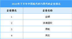 2024年中国低代码与零代码软件市场规模及竞争格局预测分析（图）