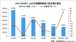 2024年1-10月中國葡萄酒進口數(shù)據(jù)統(tǒng)計分析：進口量同比增長13.3%