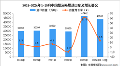 2024年1-10月中國煤及褐煤進口數(shù)據(jù)統(tǒng)計分析：進口量同比增長13.5%