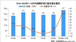 2024年1-10月中国棉花进口数据统计分析：进口量同比增长71.4%