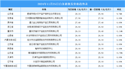 2024年11月26日全国各地最新白条猪价格行情走势分析