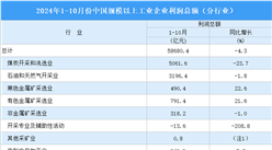 2024年1-10月全国规上工业企业利润总额情况：制造业利润总额同比下降4.2%（图）