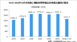 2024年1-10月中国橡胶和塑料制品业经营情况：营收同比增长4.7%