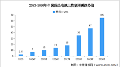 2024年中国固态电池行业市场前景预测研究报告（简版）