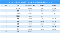 2024年11月中国新能源汽车企业交付量&销量排行榜TOP10（附榜单）