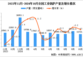 2024年10月全国工业锅炉产量数据统计分析