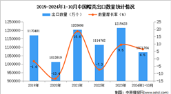 2024年1-10月中国帽类出口数据统计分析：出口量同比增长6.5%