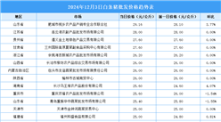 2024年12月4日全國(guó)各地最新白條豬價(jià)格行情走勢(shì)分析