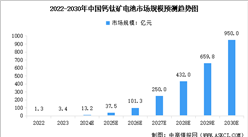 2025年中國鈣鈦礦電池行業(yè)市場前景預(yù)測研究報告（簡版）