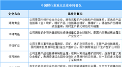 2025年中國銻產(chǎn)量及重點企業(yè)預(yù)測分析（圖）