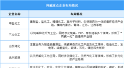 2025年中國(guó)純堿產(chǎn)量及重點(diǎn)企業(yè)預(yù)測(cè)分析（圖）