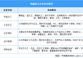 2025年中国纯碱产量及重点企业预测分析（图）