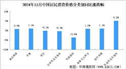 2024年11月份居民消费价格CPI同比上涨0.2% 食品价格下降2.7%%（图）