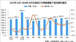 2024年10月全國電子計算機整機產(chǎn)量數(shù)據(jù)統(tǒng)計分析