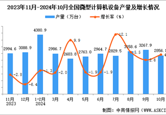 2024年10月全国微型计算机设备产量数据统计分析