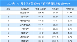 2024年1-11月中國(guó)新能源汽車廠商零售銷量排行榜TOP10（附榜單）