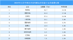 2024年11月中國公共充電樁運(yùn)營量前十運(yùn)營商排行榜（附榜單）