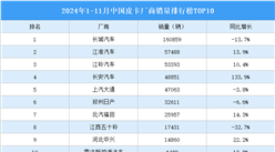 2024年1-11月中国皮卡厂商销量排行榜TOP10（附榜单）