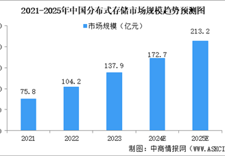 2025年中國分布式存儲市場前景及投資研究報告（簡版）