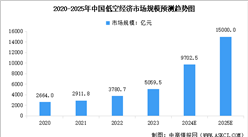 2025年中國低空經濟行業市場前景預測研究報告（簡版）