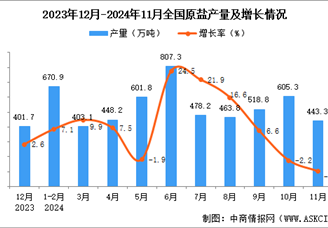 2024年11月全国原盐产量数据统计分析