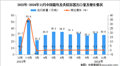 2024年11月中国箱包及类似容器出口数据统计分析：出口量30万吨