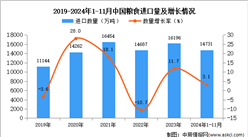 2024年1-11月中國糧食進口數(shù)據(jù)統(tǒng)計分析：進口量同比增長3.1%