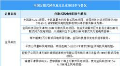 2025年分散式風(fēng)電累計(jì)裝機(jī)容量及企業(yè)項(xiàng)目參與情況預(yù)測(cè)分析（圖）