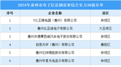 2024年惠州市電子信息制造業(yè)綜合實力30強（附榜單）