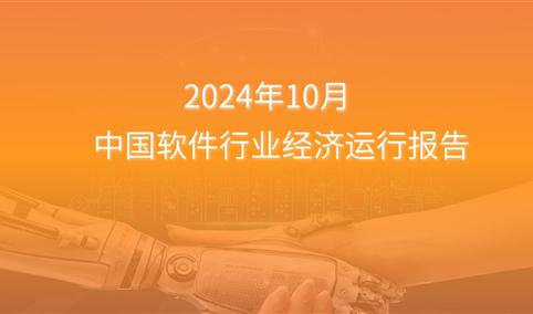 2024年1-10月中国软件行业经济运行报告（附全文）