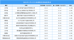 2025年1月2日全國各地最新白條豬價格行情走勢分析