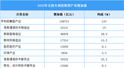 2023年中國專利密集型產(chǎn)業(yè)增加值及細分產(chǎn)業(yè)情況分析（圖）