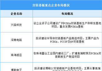 2025年中国封装基板市场规模及重点企业预测分析（图）