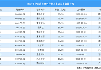 2024年中国磨具磨料行业上市公司市值排行榜（附榜单）