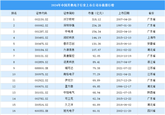 2024年中国其他电子行业上市公司市值排行榜（附榜单）