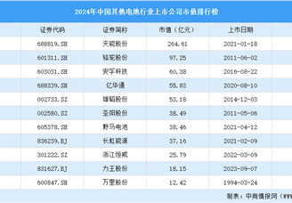 2024年中国其他电池行业上市公司市值排行榜（附榜单）