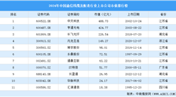 2024年中国通信线缆及配套行业上市公司市值排行榜（附榜单）