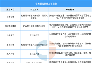 2025年氢气产量及企业布局情况预测分析（图）